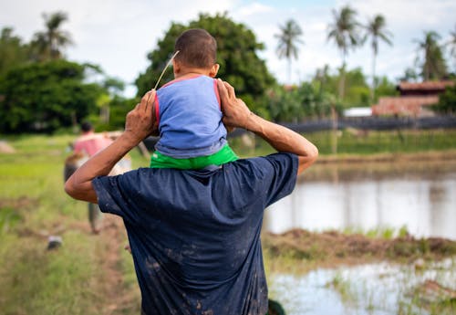 Foto profissional grátis de agricultura, arrozal, pai e filho