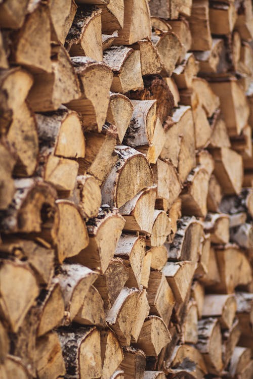 Brown Wooden Logs in Close Up Photography