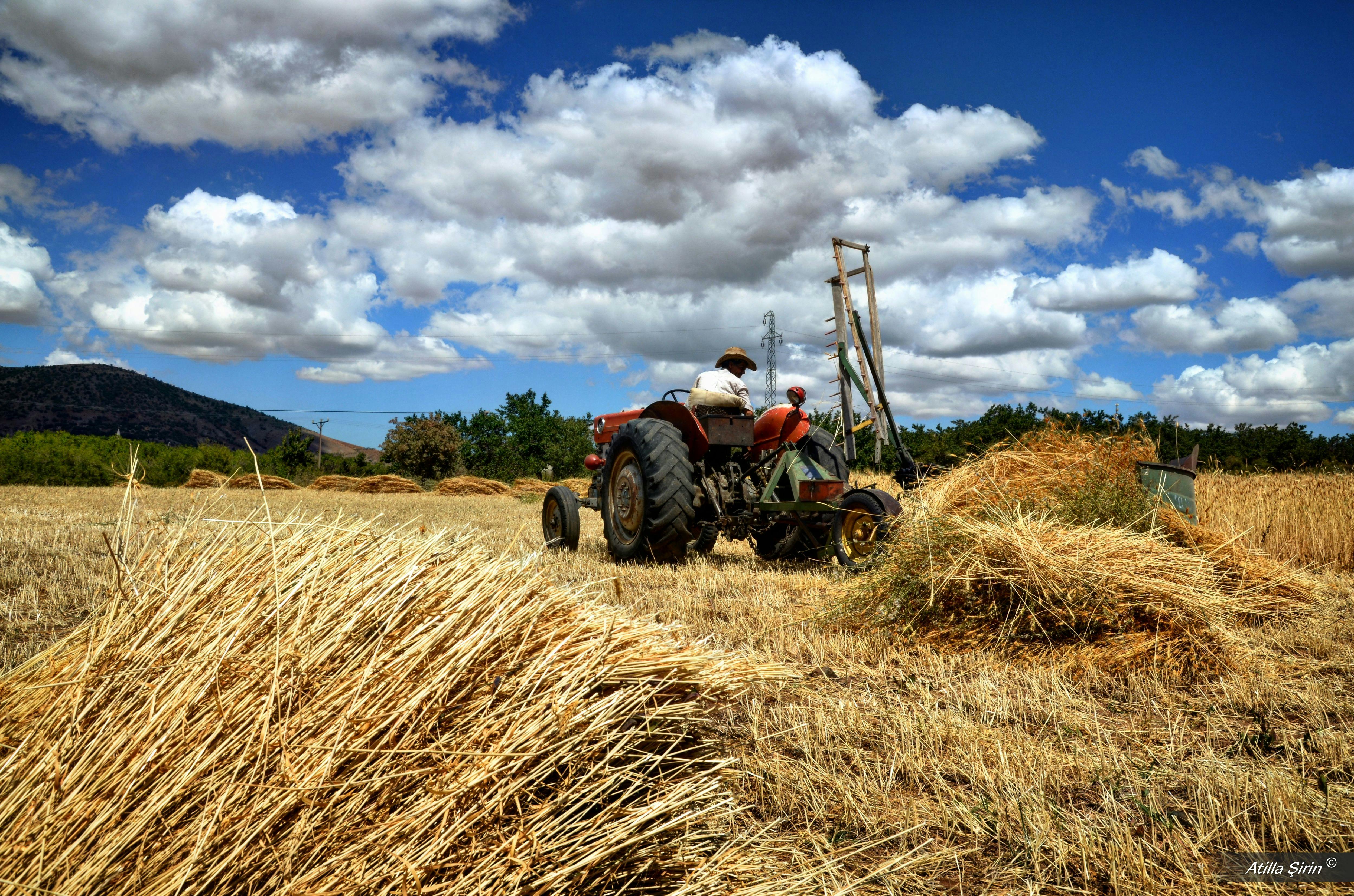 fields white for harvest meaning