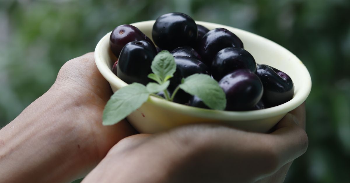 A Java Plums in the Bowl · Free Stock Photo