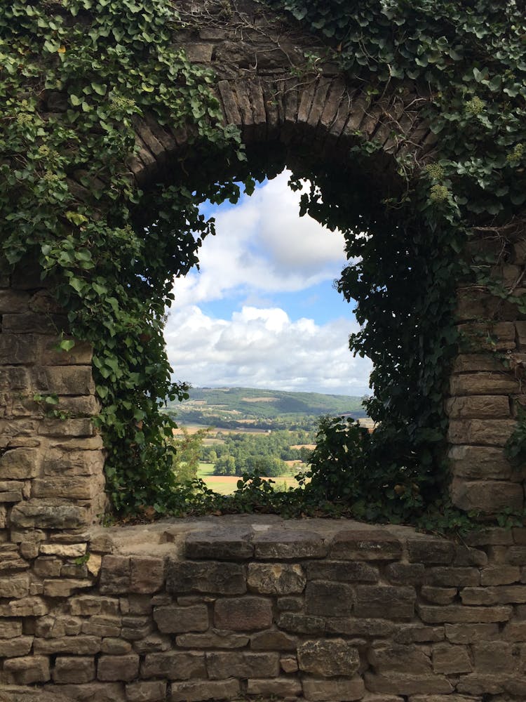 Ivy Around A Window In A Stone Wall