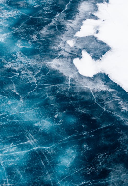 Fotos de stock gratuitas de congelado, congelar, cubierto de hielo