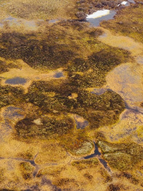 Free Aerial view of unique wetlands terrain with diverse vegetation patterns near Norilsk, Russia. Stock Photo