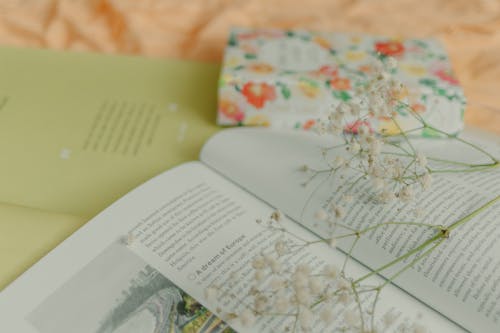 A Flower on the Open Book
