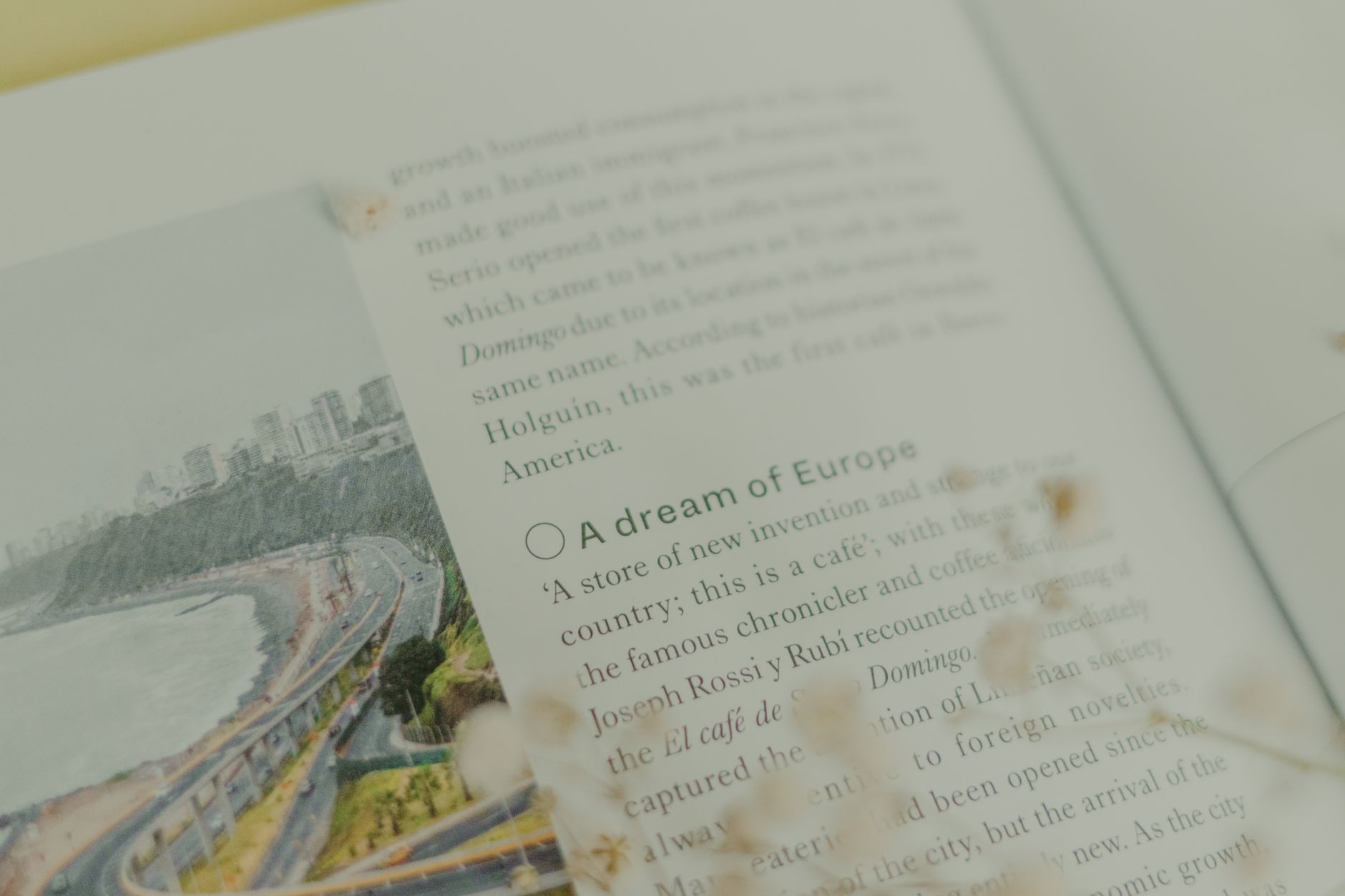 Close-up view of a printed magazine page featuring text and a coastal image, showcasing editorial content.