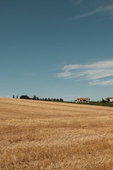 A wide view of a rural hayfield under a bright blue sky, showcasing the beauty of the countryside.
