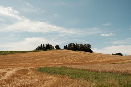 免费 天空, 景觀, 棕色的草 的 免费素材图片 素材图片