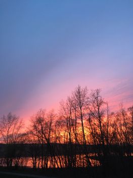A breathtaking sunset cast over leafless trees with a dramatic sky in Yekaterinburg, Russia.