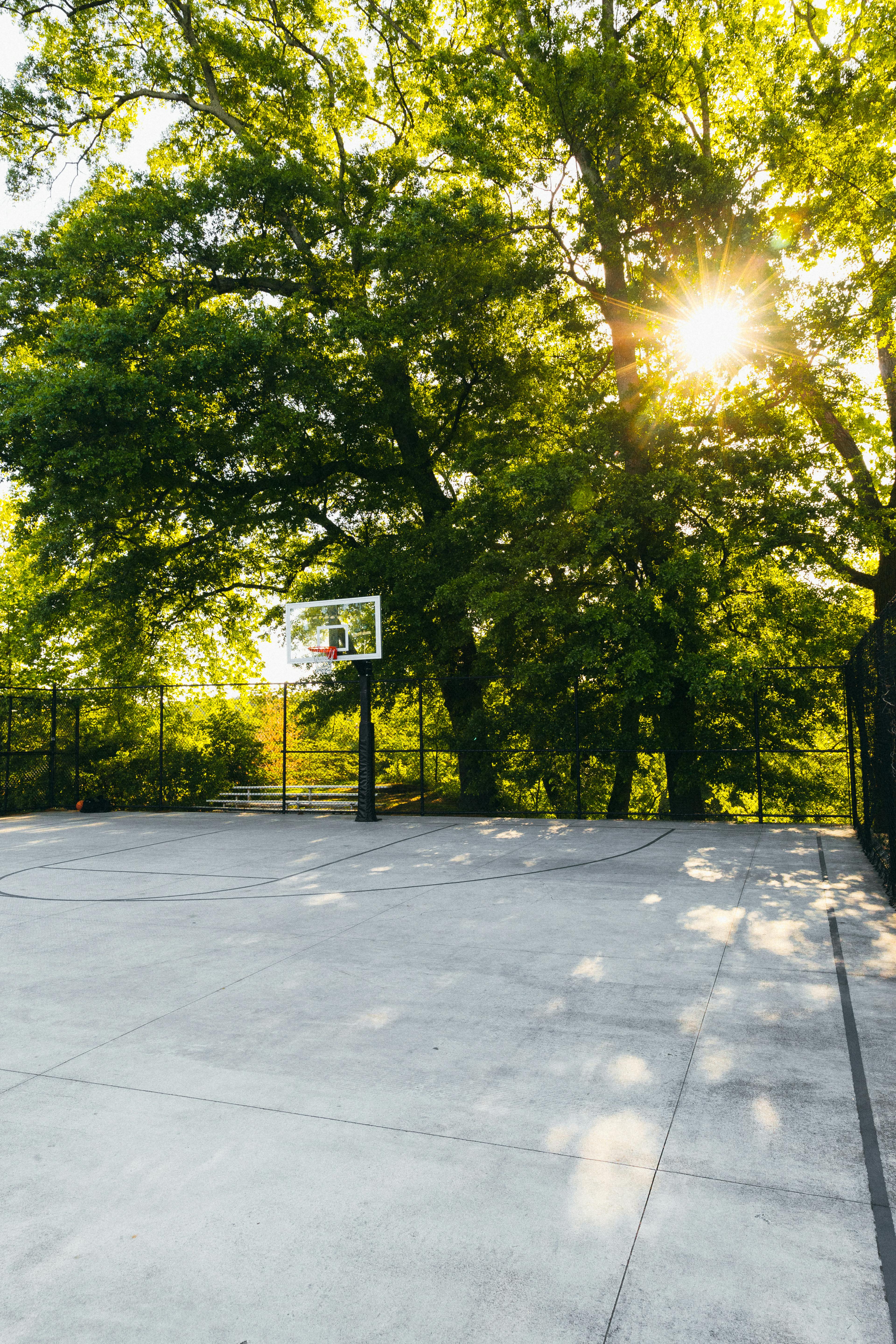 Basketball Hoop Near Green Trees · Free Stock Photo