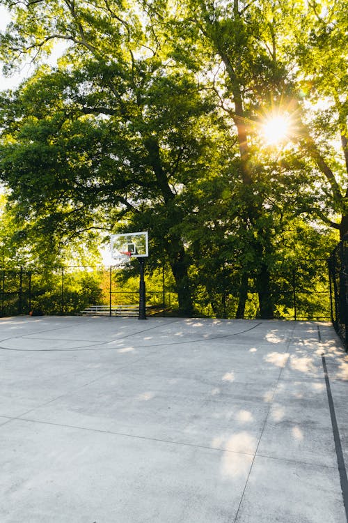 ağaçlar, Basket potası, Basketbol sahası içeren Ücretsiz stok fotoğraf