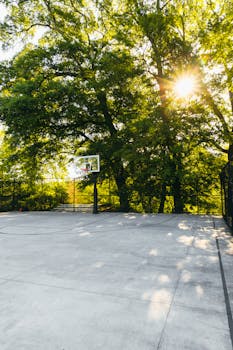 Empty basketball court under sunlit trees casting shadows on a clear day.