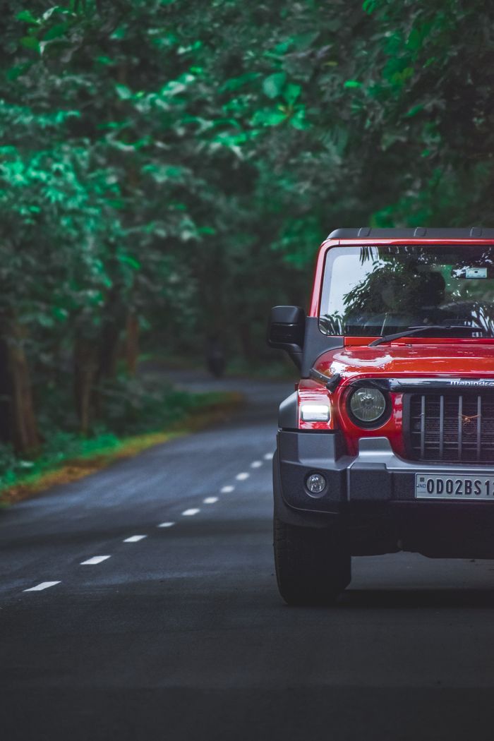 SUV on a green forest road