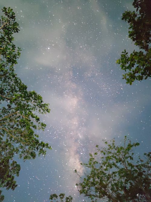 在晚上, 銀河, 露營 的 免費圖庫相片