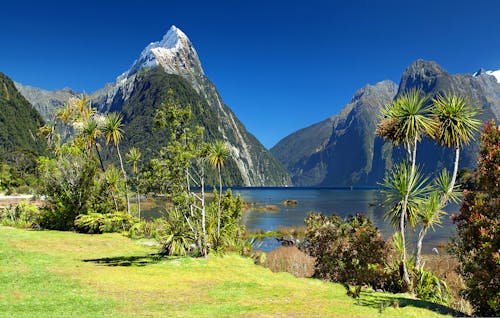 Landscape Photograph of Lake and Mountains