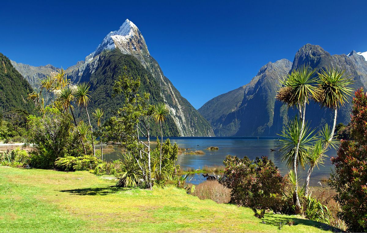 Milford Sound z górą Mitre Peak i czystym niebem w Nowej Zelandii