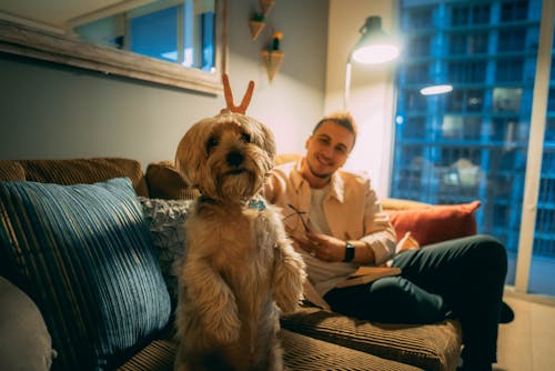 Free A Man Sitting on the Sofa Together with his Pet Dog Stock Photo