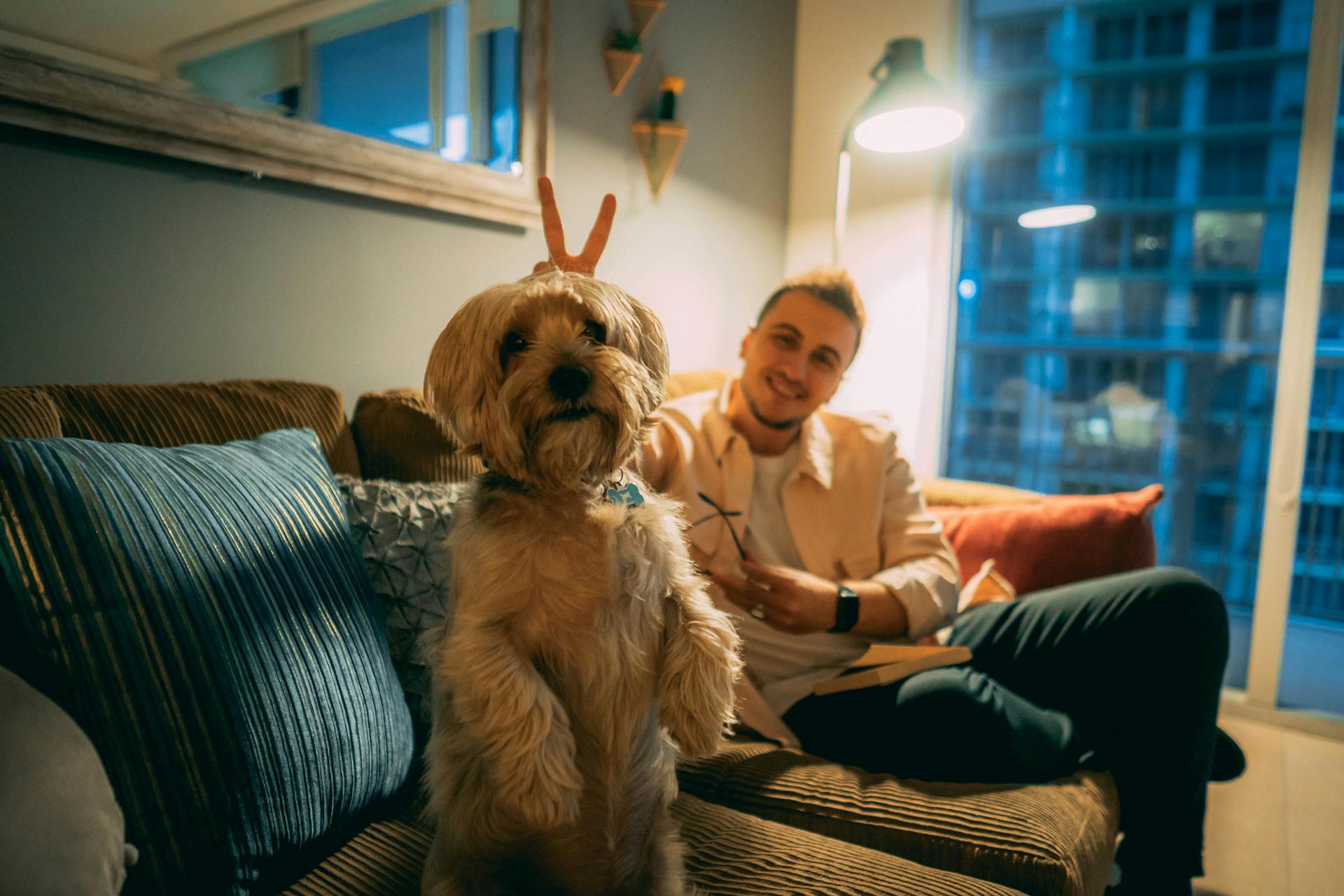 A Man Sitting on the Sofa Together with his Pet Dog