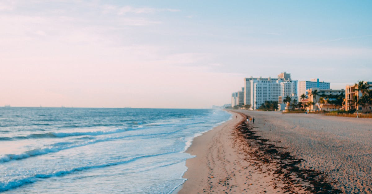 ¿Cómo se gestionan residuos en destinos de playa en Honduras y qué puede hacer el visitante? ¿Cómo se gestionan residuos en destinos de playa en Honduras y qué puede hacer el visitante?