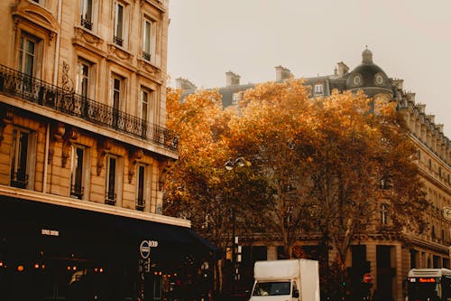 Free stock photo of autumn, autumn in paria, paris