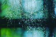 露珠在精致植物茎上的美丽宏观图像，捕捉到大自然的宁静与细节