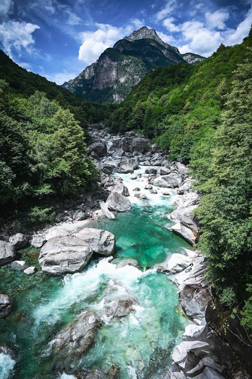 
An Aerial Shot of a Cascading River