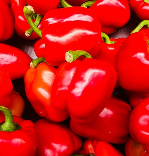 Free Bundles of Red Bell Peppers Stock Photo