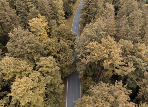 A winding road through dense autumn forest captured from above in Ilmenau, Germany.