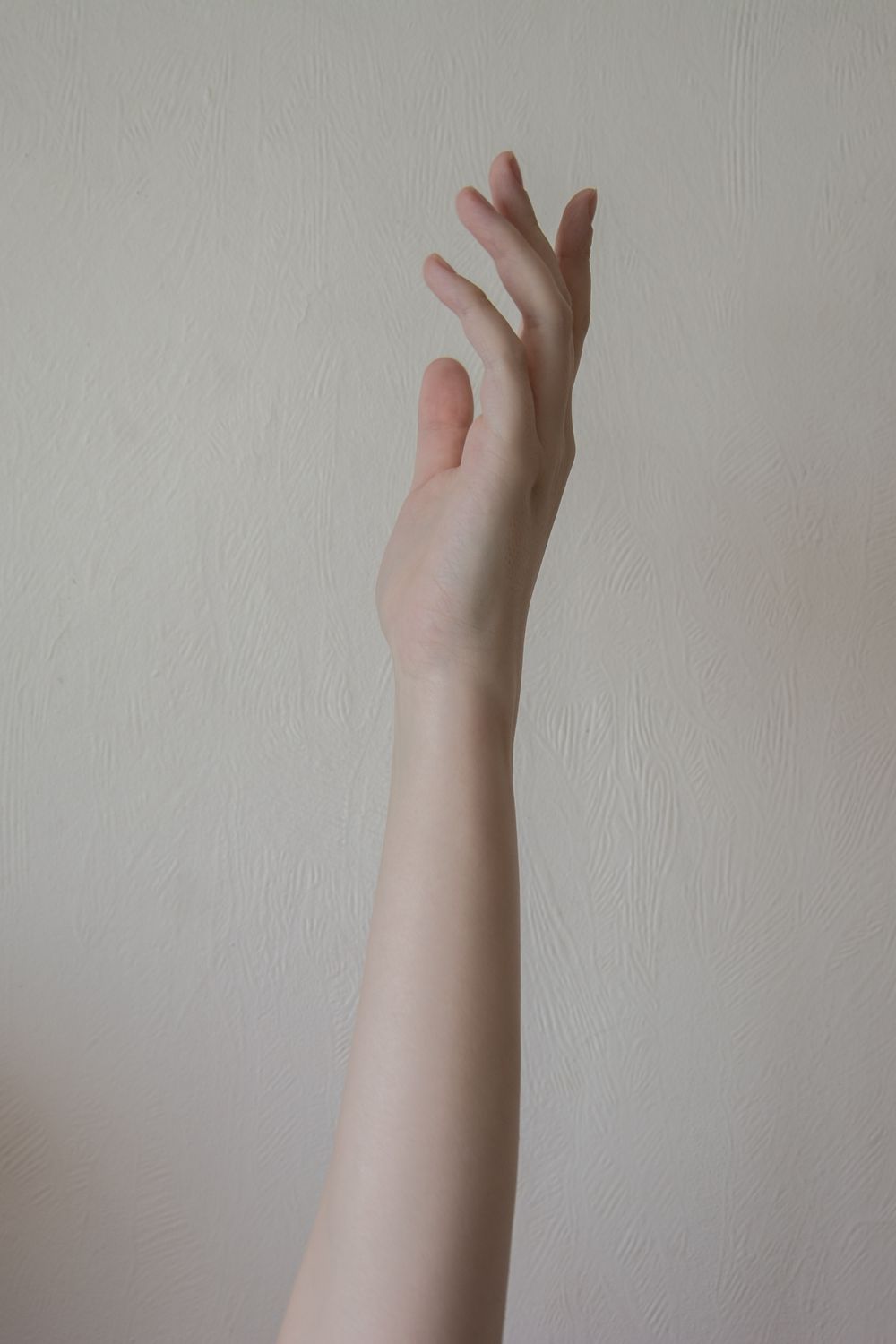 A Person's Arm on White Background · Free Stock Photo
