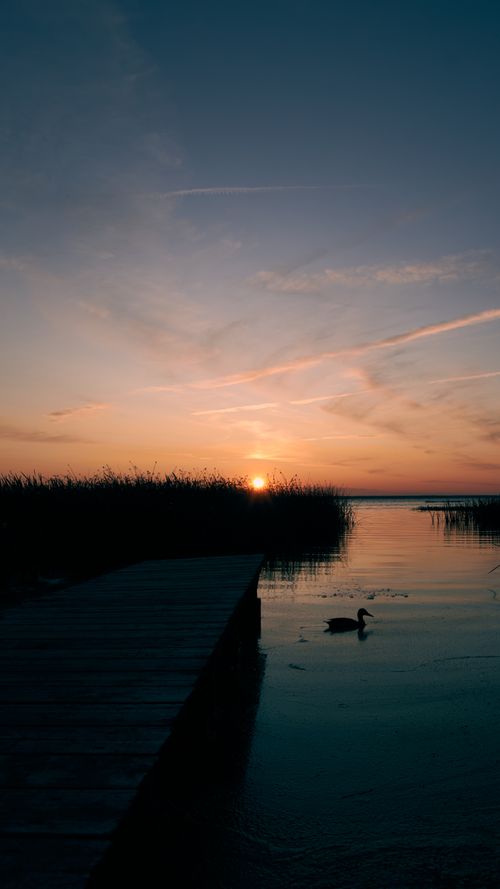 Free Peaceful sunset view over a lake with a wooden dock and silhouette of a duck in Переславль-Залесский, Russia. Stock Photo