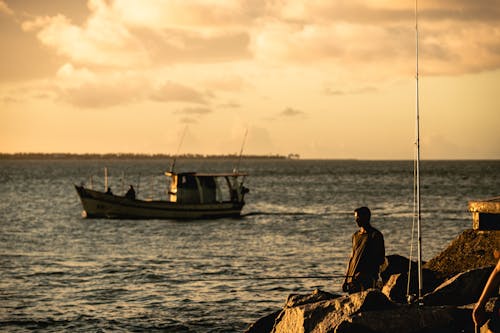 adam, balık, balık oltaları içeren Ücretsiz stok fotoğraf