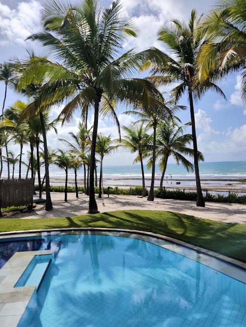 Palm Trees Near Swimming Pool near the Beach