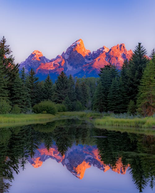 Beautiful Mountain View in the Forest