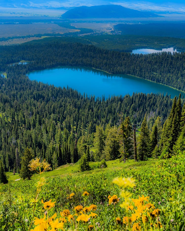 A Picturesque Shot Of Bradley Lake And Taggart Lake