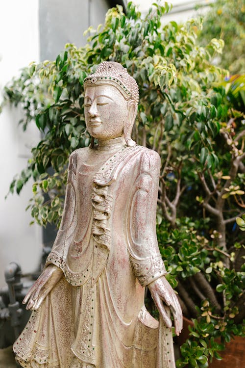 A Buddha Statue in the Garden