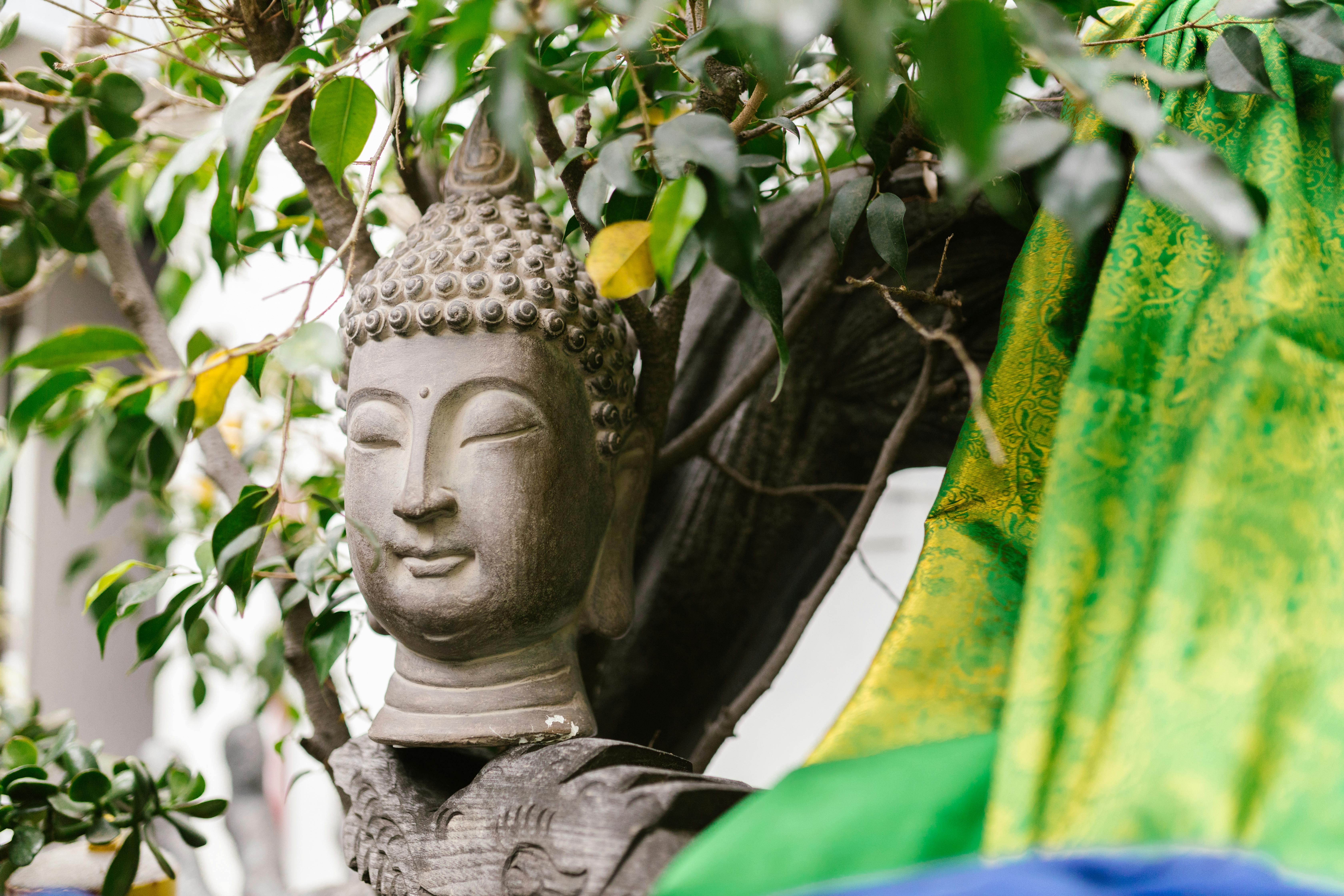 Ancient Wisdom for Modern Mindfulness Practices