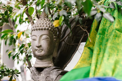 Free The Bust of a Buddha in the Garden Stock Photo