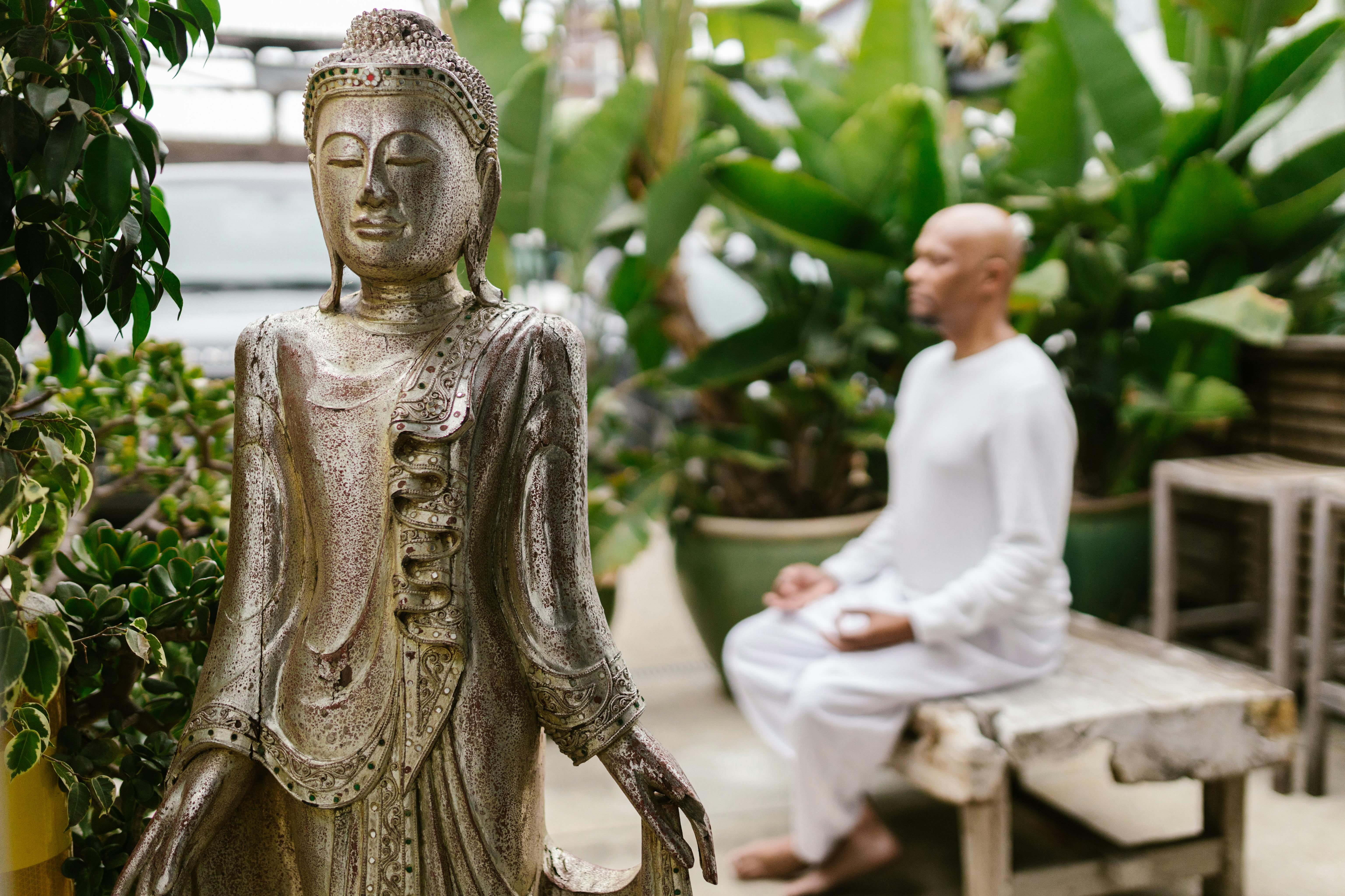 Free A Man Meditating in the Garden Stock Photo
