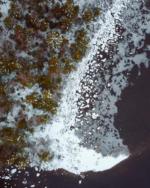 Darmowe zdjęcie z galerii z fotografia lotnicza, jezioro, lakeshore