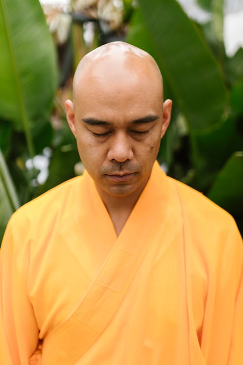 Fotos de stock gratuitas de Budismo, creencia, hombre