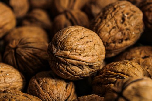 Free Detailed close-up of walnuts in shell showing texture and natural patterns. Stock Photo