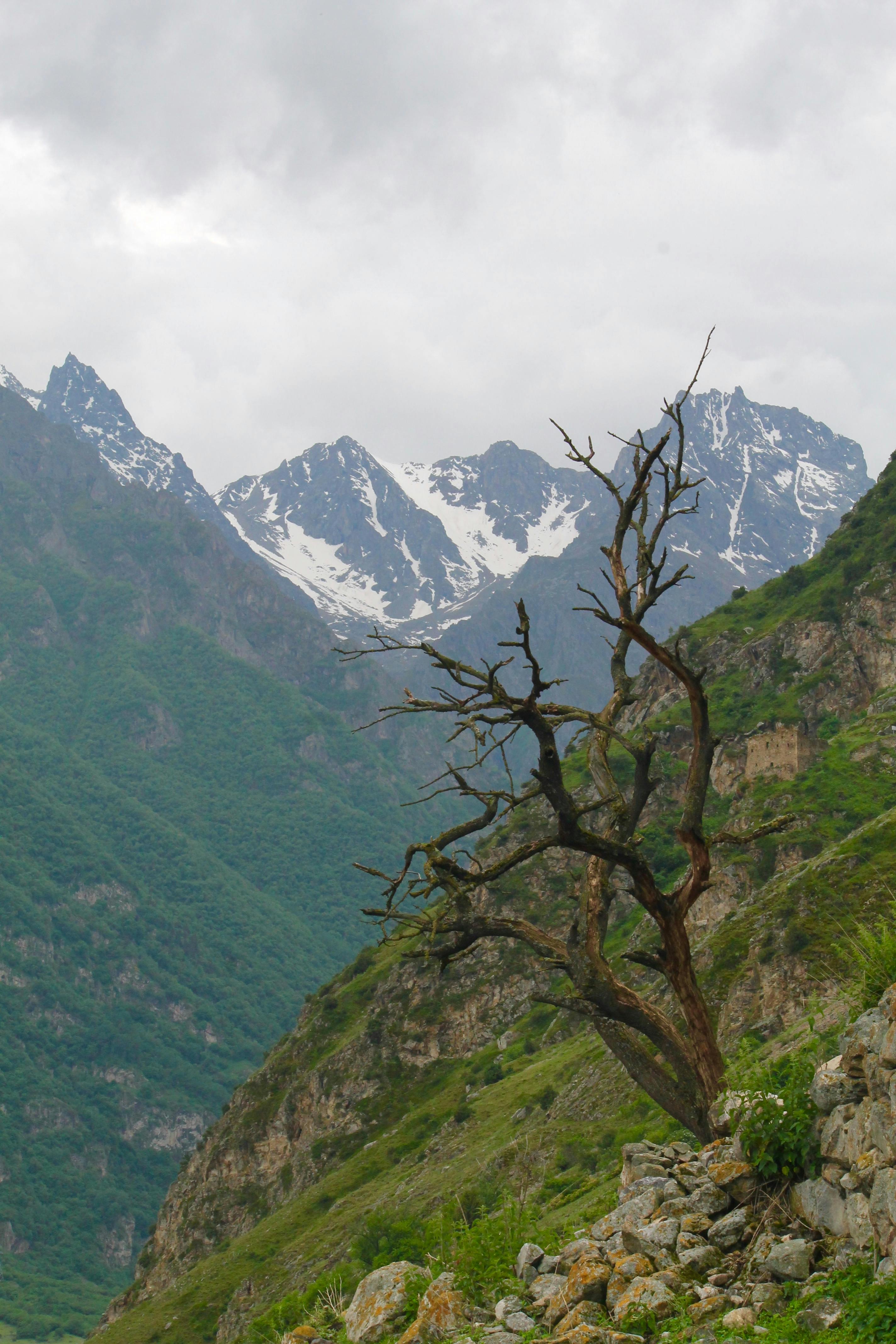 Essential Home Maintenance Checklist for Indiana Homeowners