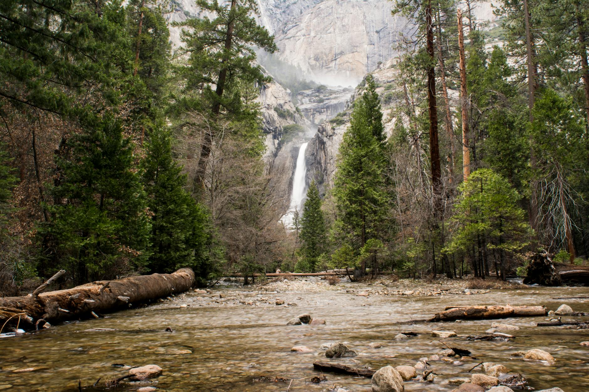 Airport transfers in Yosemite National Park Airport transfers in Yosemite National Park
