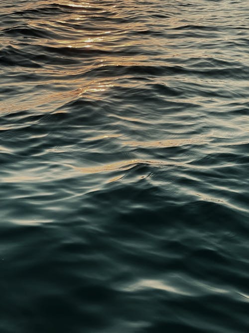 Close-Up Shot of a Water Surface