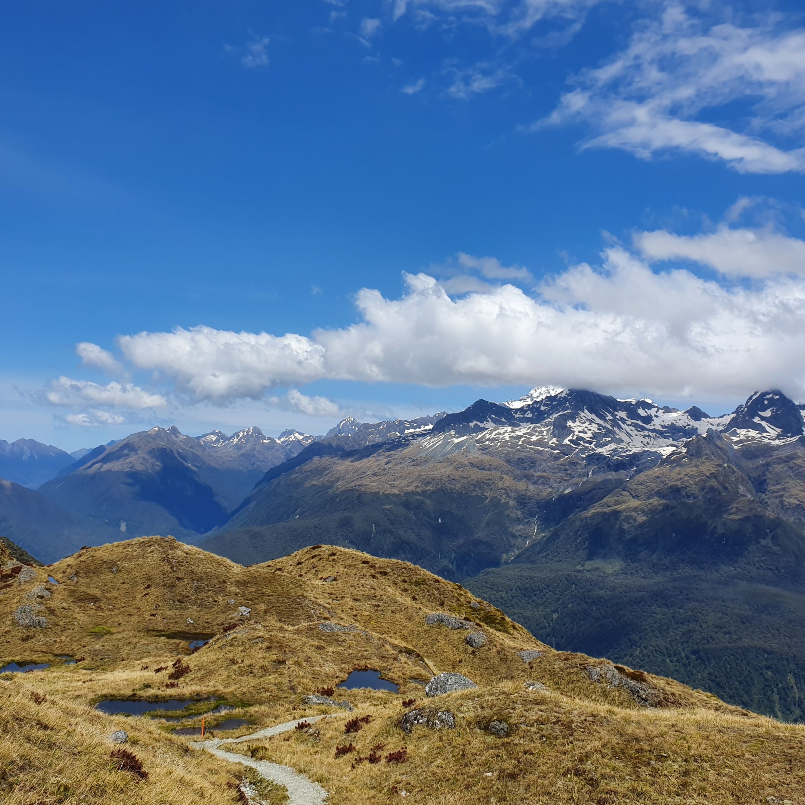 Golden tussock ridge under moving cloud, photo by Kevin Lo on Pexels