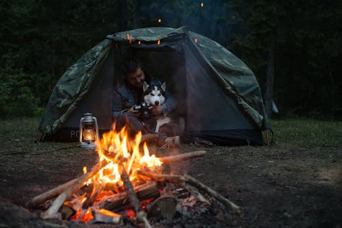 Fotos de stock gratuitas de acampada, campista, compañero