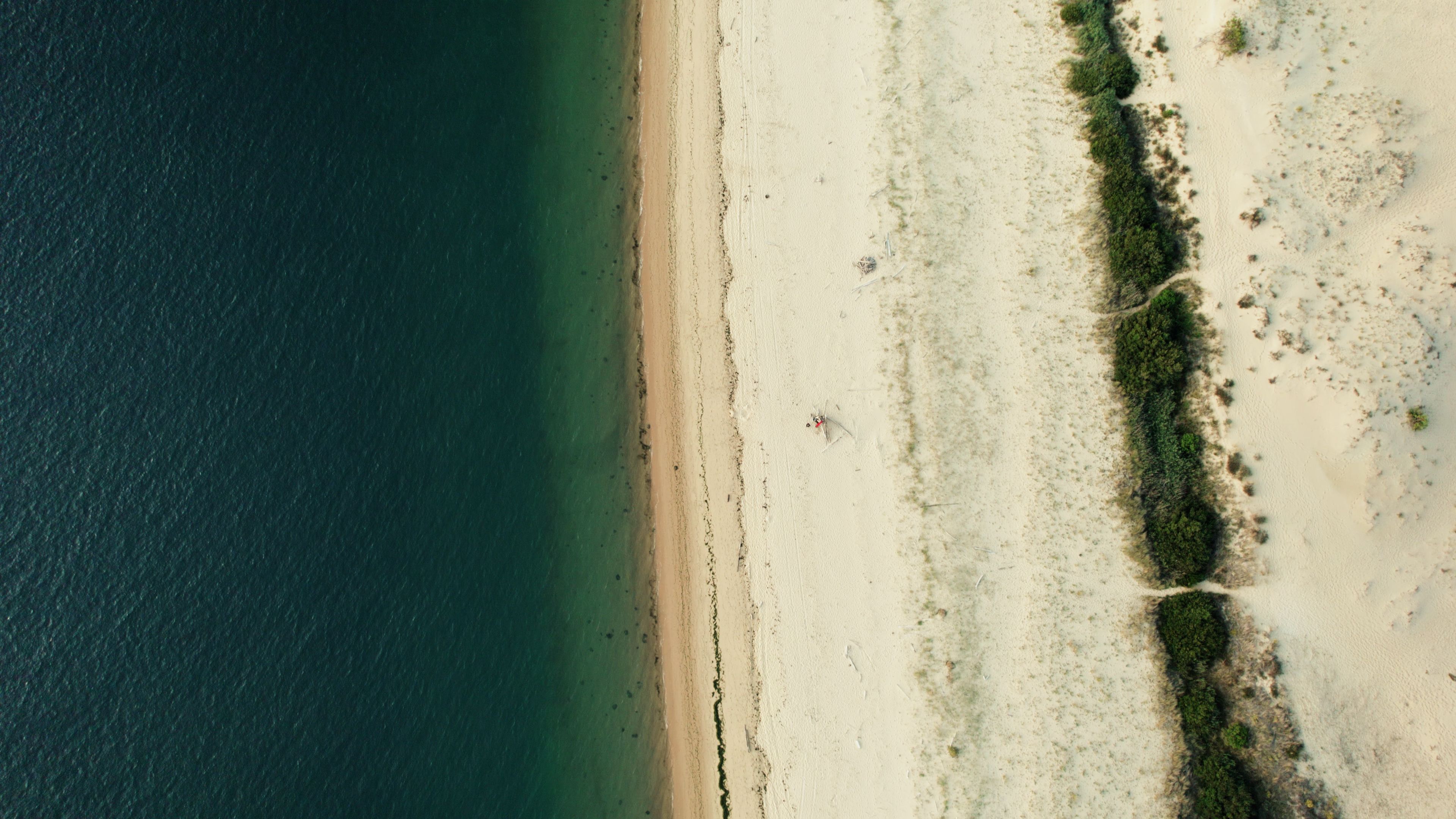 Wooden boardwalk leading through dunes to a quiet Portuguese beach