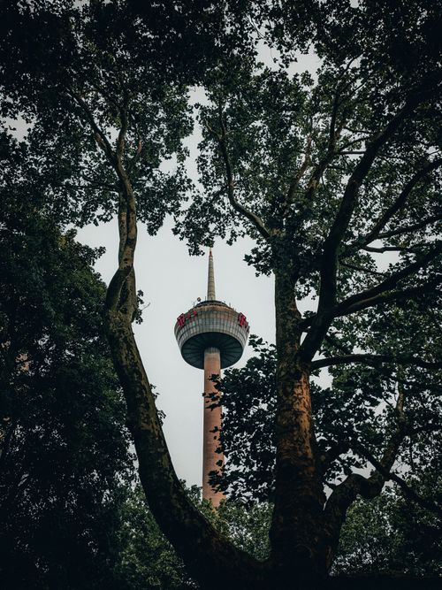 Free Colonius broadcasting tower framed by dense trees, showcasing modern architecture amidst nature. Stock Photo