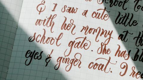 A close-up image showing a handwritten diary entry on graph paper, featuring elegant cursive writing in brown ink.