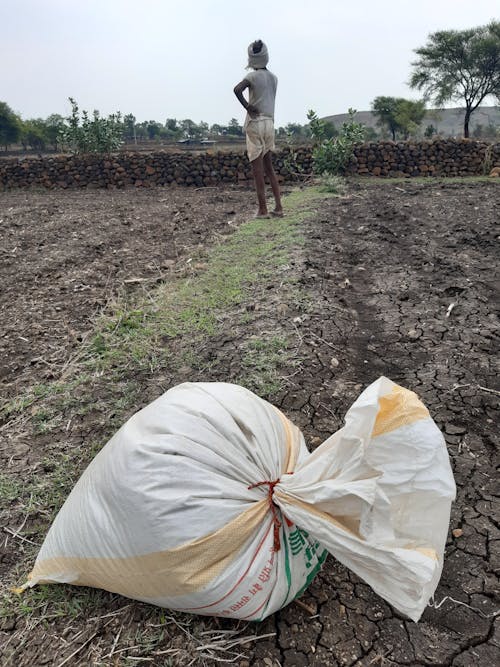 Fotobanka s bezplatnými fotkami na tému čakanie na dážď, India, indický farmár