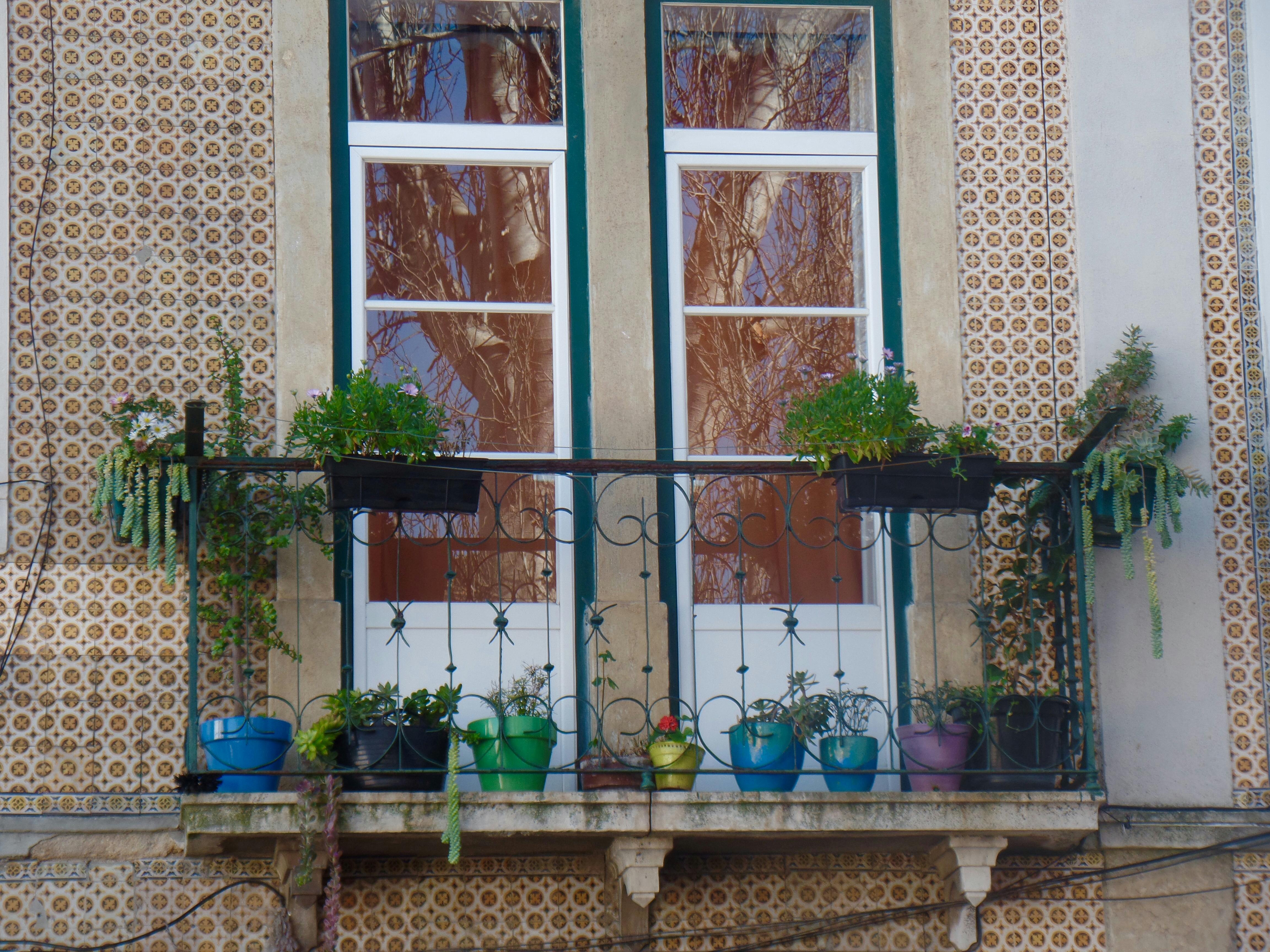 Free stock photo from Douglas · Pexels